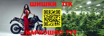 сатива Малгобек
