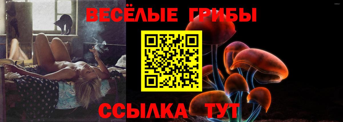 Галлюциногенные грибы ЛСД Чебоксары